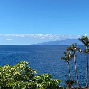 Casa vacanze Flores 5, Playa de las Americas (Tenerife)